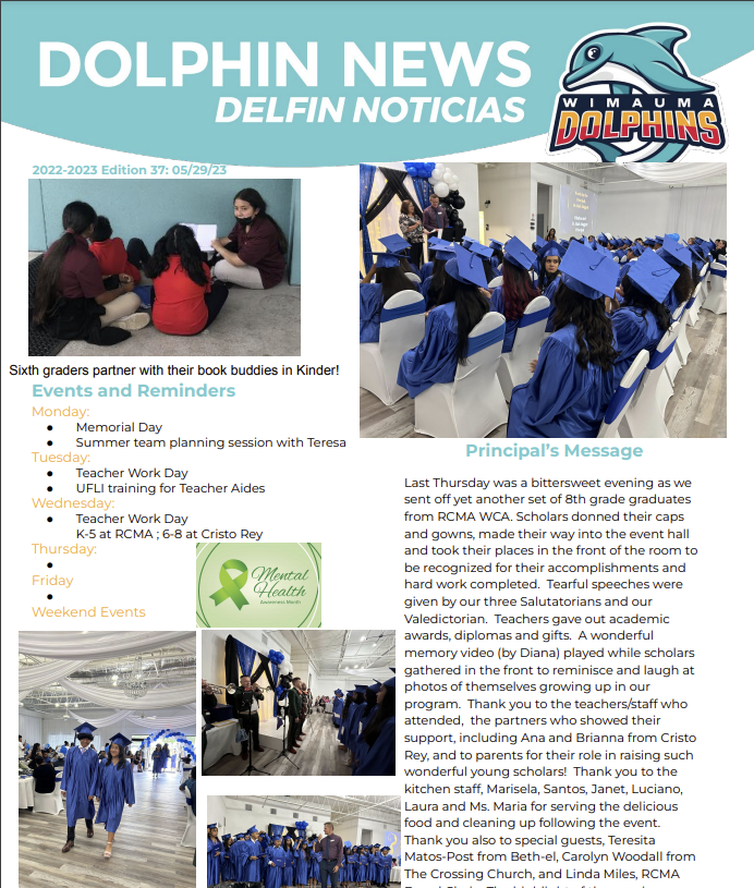 dolphin news may 29
