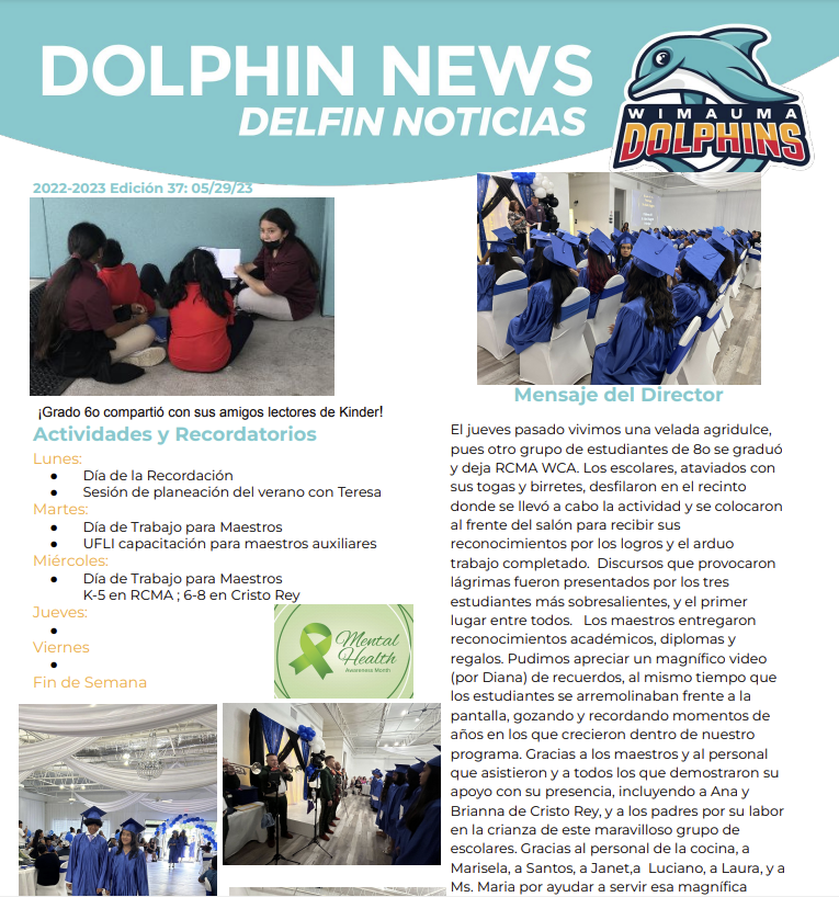 dolphin news sp